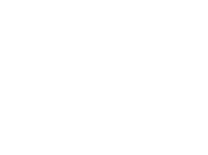 The Best and Brightest in Wellness