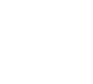 Century of Recognition