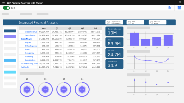 IBM workforce analytics software